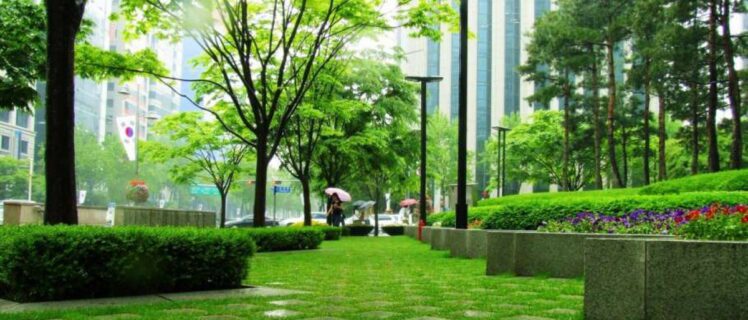 Що таке благоустрій та як він має правильно організовуватись