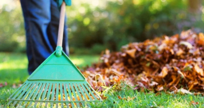Хто відповідає за порядок у місті