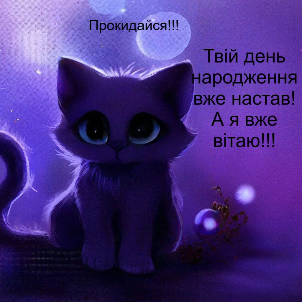 Твій день народження вже настав! А я вже вітаю! - картинка з котиком