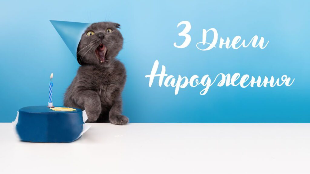 Смішне привітання з днем народження для чоловіка із зображенням кота і торта