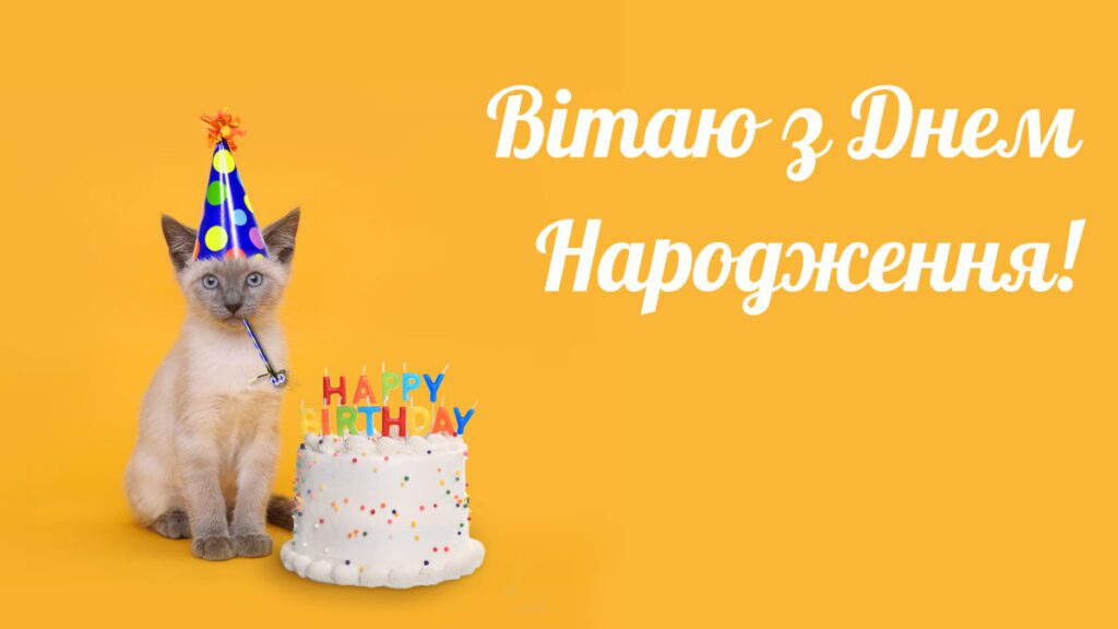 Картинка з гумором для привітання чоловіка з днем народження - з зображенням кота і торта 