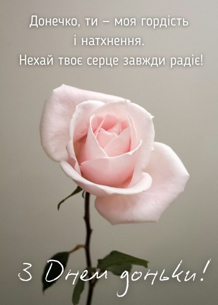 Картинка з рожевою трояндою - з днем доньки