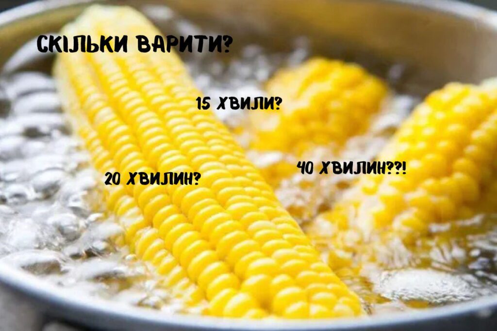 Різну кукурудзу потрібно варити різний час: в середньому від 15хв до 40хв