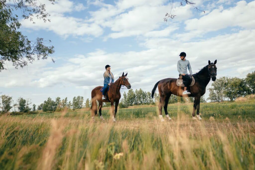 Такий подарунок, як прогулянка на конях підійде для хлопця 25 років