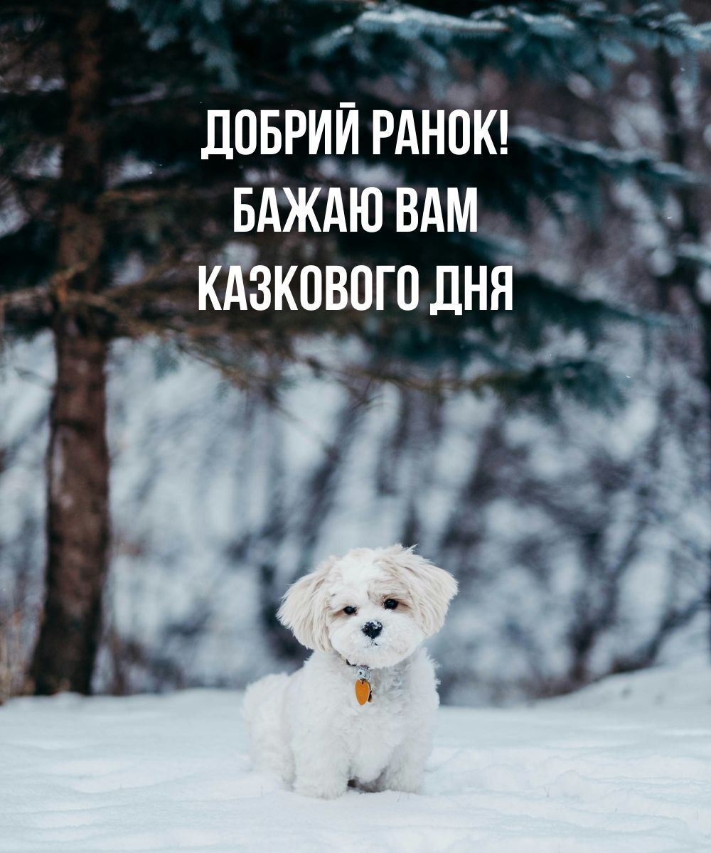 Зимова картинка доброго ранку з милим песиком на снігу та побажанням казкового дня