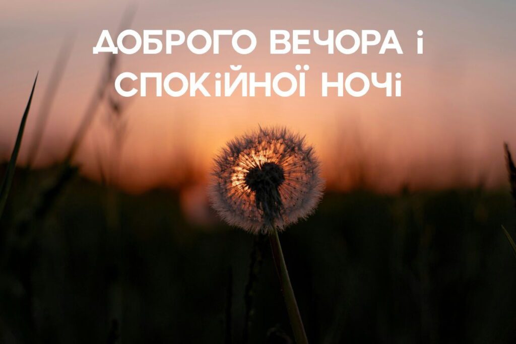 Кульбаба на фоні заходу сонця з побажанням доброго вечора