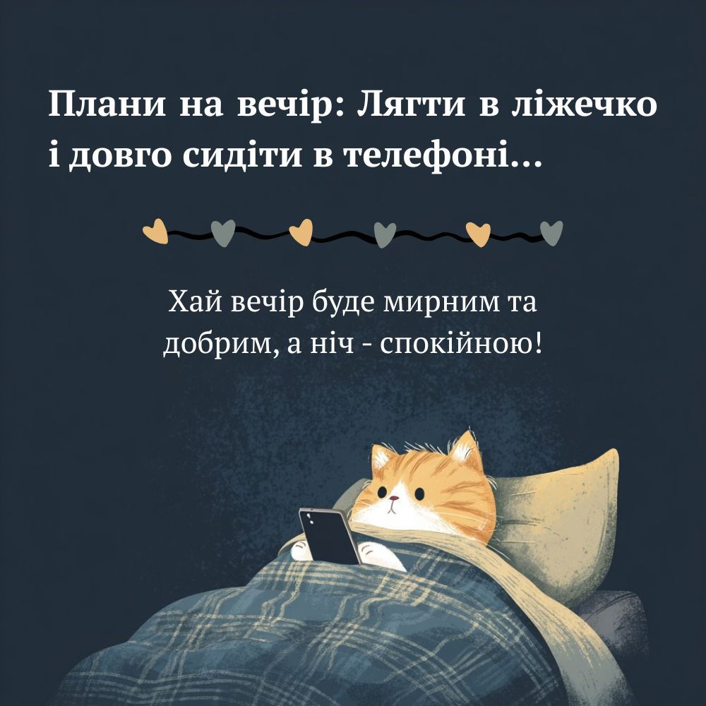 Котик з телефоном в ліжку і текст про вечірні плани