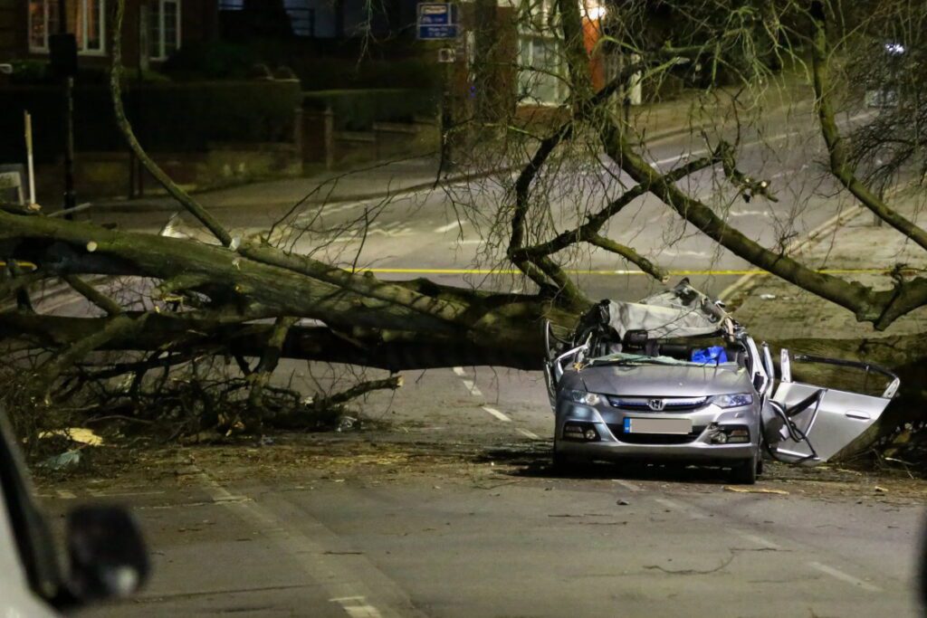 Що покриває поліс КАСКО
