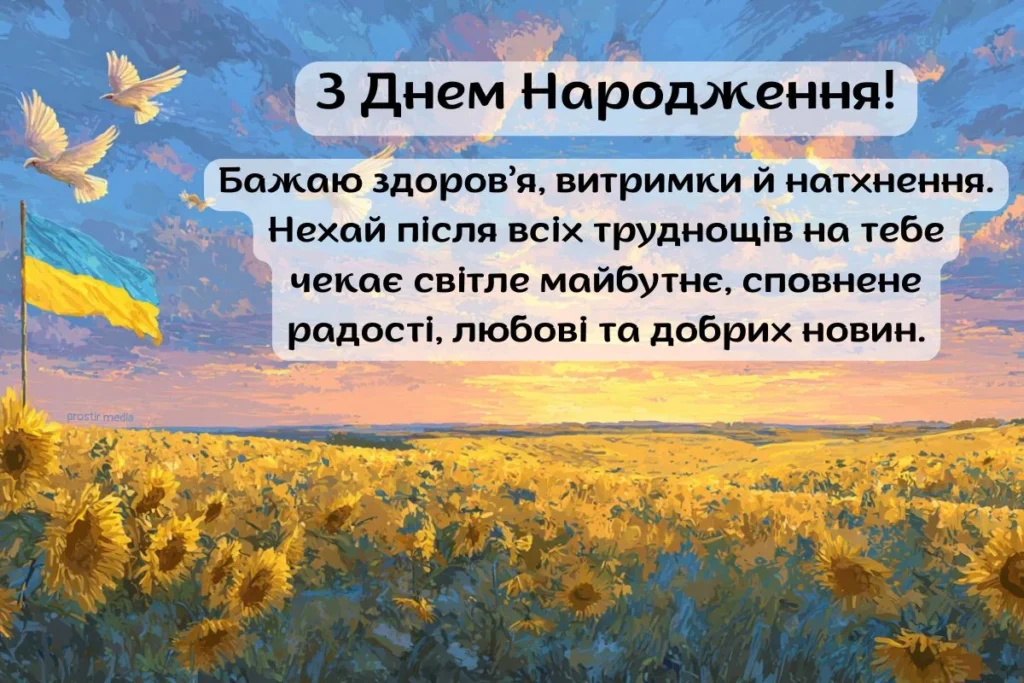 Захід сонця над полем соняшників