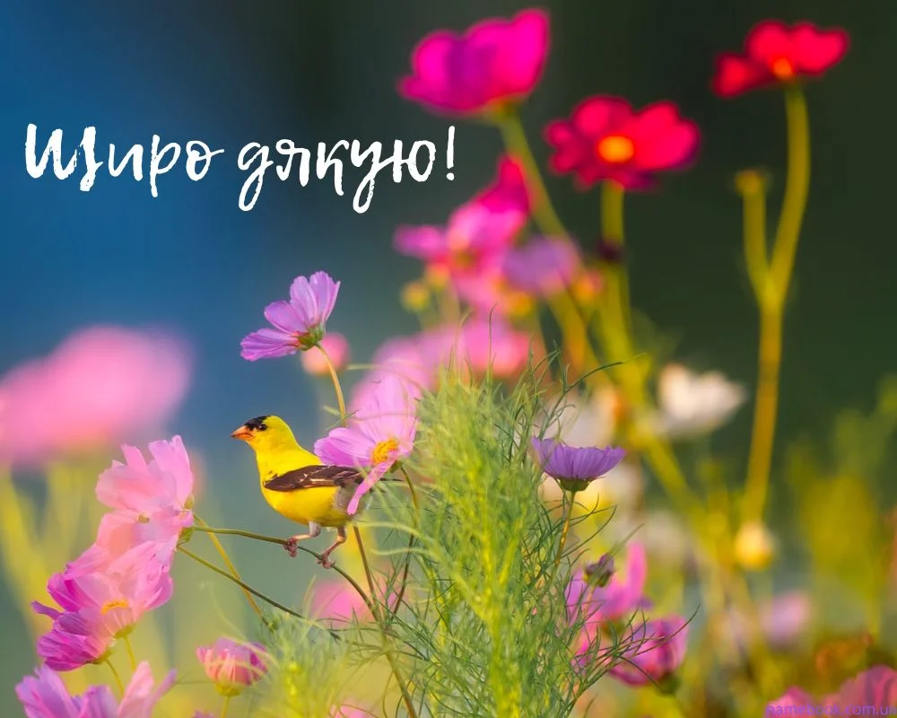 пташка на квітці та підпис “щиро дякую”